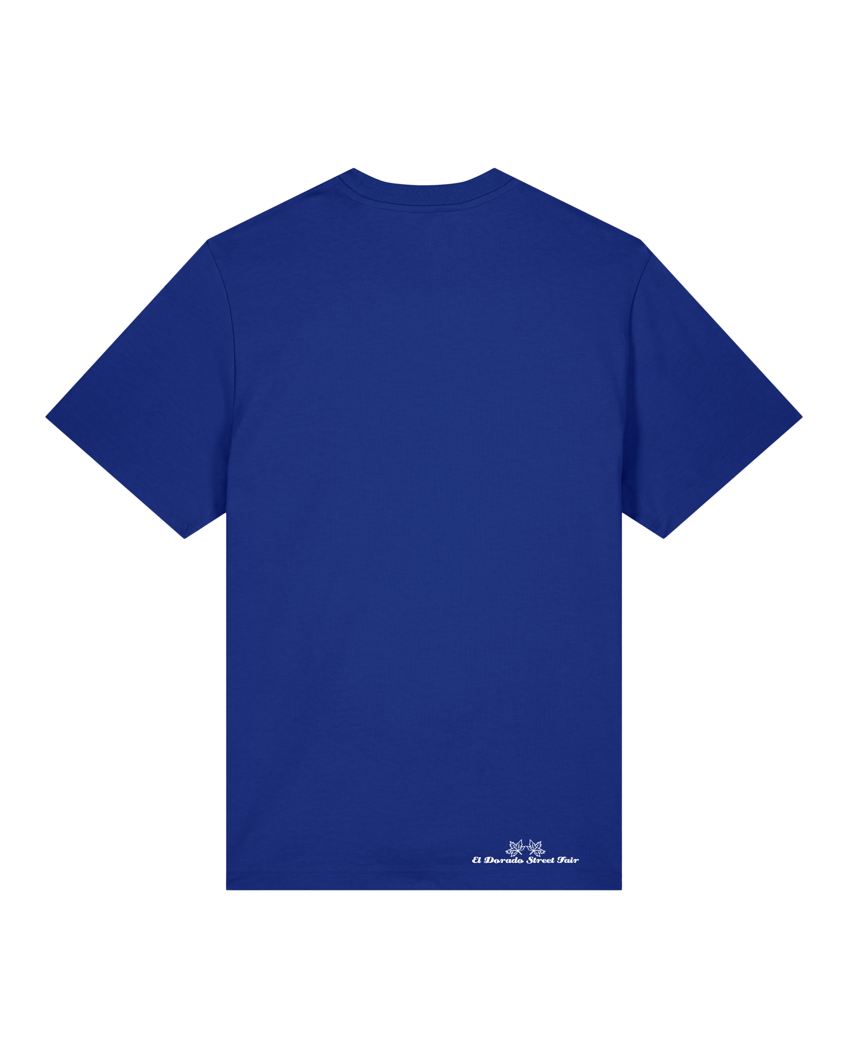 bio-unisex-relaxed fit-tshirt-basic-sttu171-kornblume-back