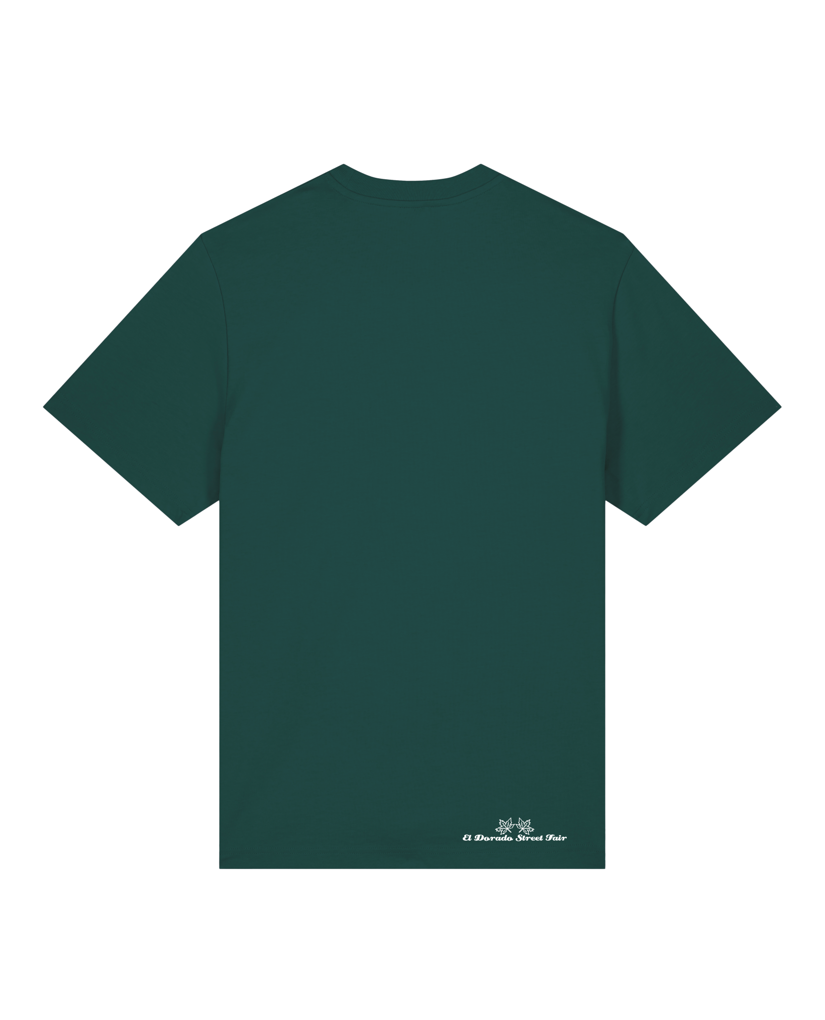 bio-unisex-relaxed fit-tshirt-basic-sttu171-spirulina-back