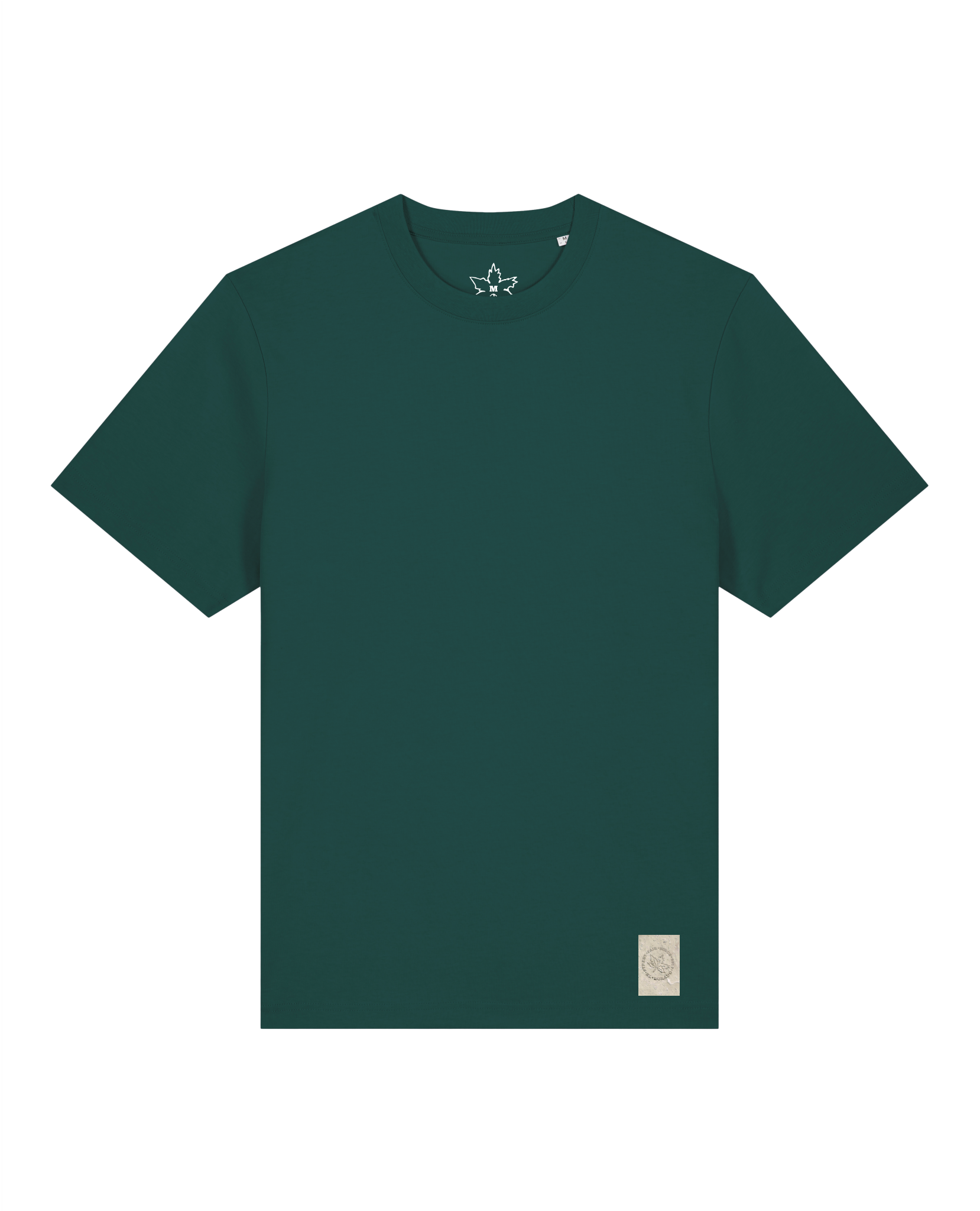 bio-unisex-relaxed fit-tshirt-basic-sttu171-spirulina-front