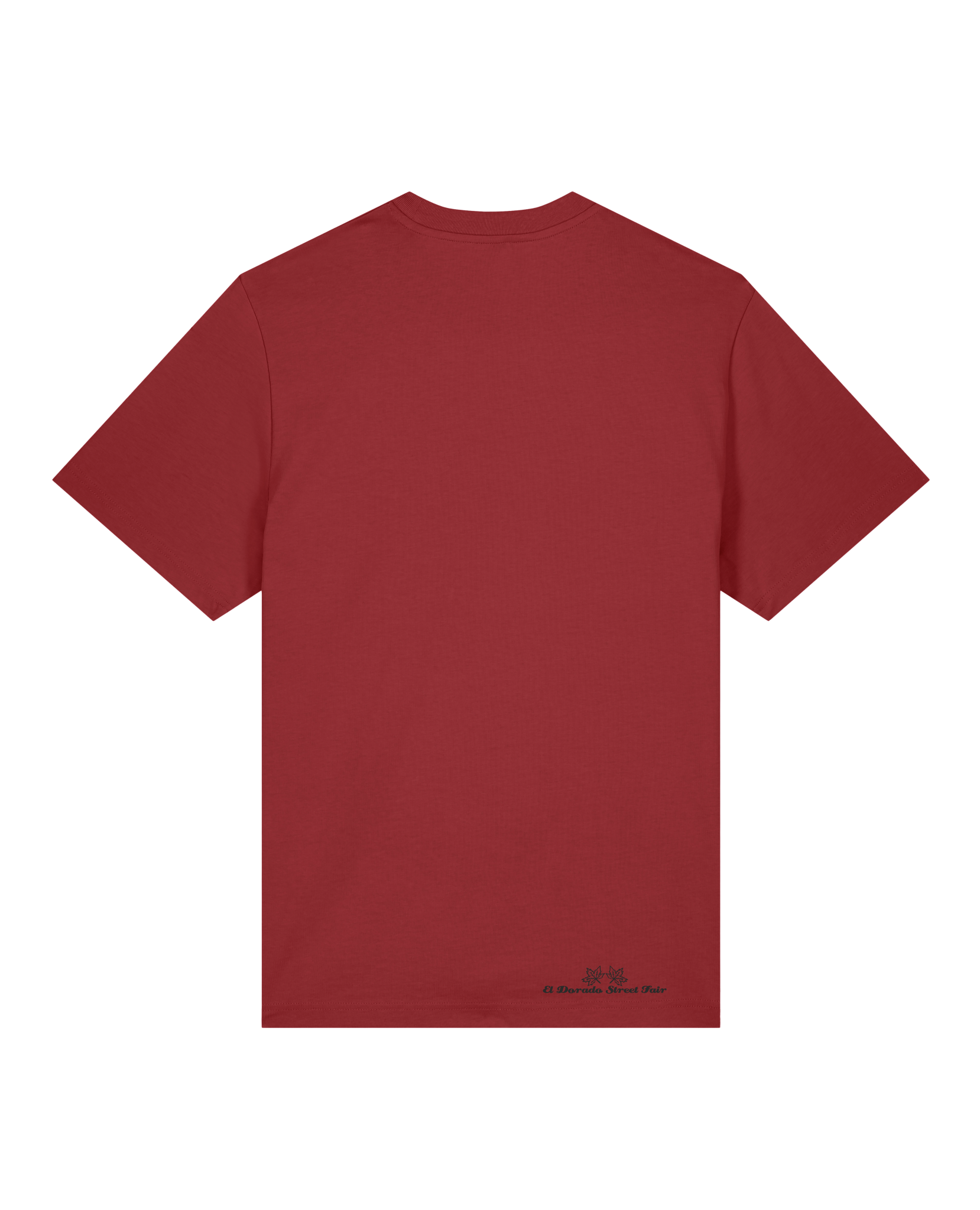 bio-unisex-relaxed fit-tshirt-basic-sttu171-terracotta-back